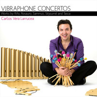 Thumbnail for the Saverio Tasca - Concerto for Vibraphone: I. — link, provided by host site