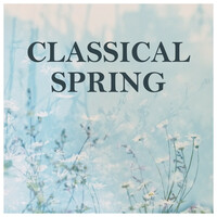 Thumbnail for the Antonio Vivaldi - Concerto In C Major (After RV82): 3. Allegro link, provided by host site