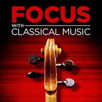 Thumbnail for the Antonio Vivaldi - Concerto in D Major for 2 oboes, strings and continuo, RV 535 : 2. Largo link, provided by host site