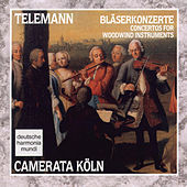 Thumbnail for the Karl Kaiser - Concerto in D major for Flute, Strings & Basso continuo: Vivace link, provided by host site