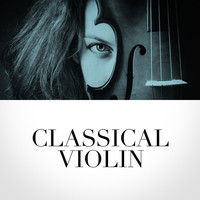 Thumbnail for the Antonio Vivaldi - Concerto in D Major, RV 549 link, provided by host site