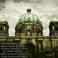 Thumbnail for the Johann Joachim Quantz - Concerto in E Flat Major for Horn and String Orchestra: I. Allegro link, provided by host site