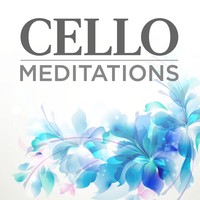 Thumbnail for the Edward Elgar - Concerto in E Minor for Cello and Orchestra, Op. 85: III. Adagio link, provided by host site