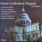 Thumbnail for the Timothy Farrell - Concerto in F Major: First Movement link, provided by host site
