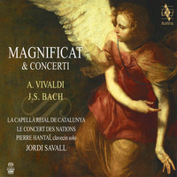 Thumbnail for the Antonio Vivaldi - Concerto pour 2 violons et viole de gambe en sol mineur, RV 578: II. Larghetto link, provided by host site