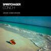 Thumbnail for the Spiritchaser - Conch (Groove Junkies Rework) link, provided by host site