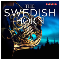 Thumbnail for the Lars-Erik Larsson - Conertino No. 5 for French Horn and Strings, Op. 45: III. Allegro vivace link, provided by host site