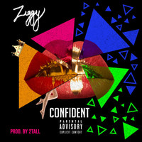 Thumbnail for the Ziggy - Confident link, provided by host site