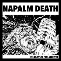 Thumbnail for the Napalm Death - Conform or Die link, provided by host site