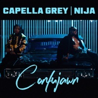 Thumbnail for the Capella Grey - Confujawn link, provided by host site