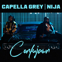 Image of Capella Grey linking to their artist page due to link from them being at the top of the main table on this page