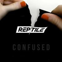 Image of Reptile linking to their artist page due to link from them being at the top of the main table on this page