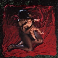 Thumbnail for the The Afghan Whigs - Congregation link, provided by host site