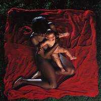 Thumbnail for the The Afghan Whigs - Congregation link, provided by host site