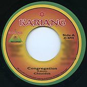 Thumbnail for the Chezidek - Congregation link, provided by host site