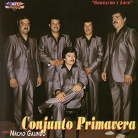 Thumbnail for the Conjunto Primavera - Conjunto Primavera, Vol. 1 link, provided by host site