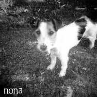 Thumbnail for the Nona - Conscience link, provided by host site