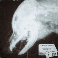 Thumbnail for the Hollow Point - CONSEQUENCES link, provided by host site