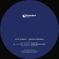 Thumbnail for the Steve Bicknell - Constant movement link, provided by host site