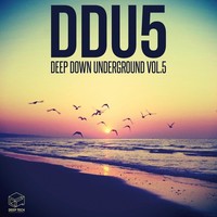 Thumbnail for the Dani Rivas - Consumir - Original Mix link, provided by host site