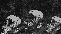 Thumbnail for the Primitive Man - Consumption link, provided by host site