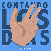 Thumbnail for the Little D - Contando los días link, provided by host site