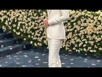 Thumbnail for the Zendaya - Continue d'exceller dans l'exercice du tapis rouge au Met Gala link, provided by host site