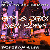 Thumbnail for the Peter Presta - Continuous DJ Mix link, provided by host site