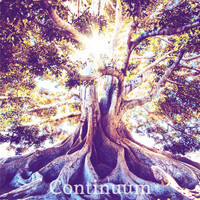 Thumbnail for the New Age - Continuum link, provided by host site
