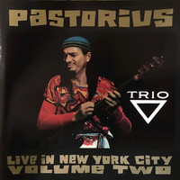 Thumbnail for the Jaco Pastorius - Continuum link, provided by host site