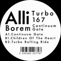 Thumbnail for the Alli Borem - Continuum Gate link, provided by host site