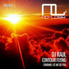 Thumbnail for the DJ Raül - Contour Flying link, provided by host site