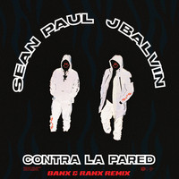 Thumbnail for the Sean Paul - Contra La Pared (Banx & Ranx Remix) link, provided by host site