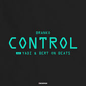Image of Branko linking to their artist page due to link from them being at the top of the main table on this page