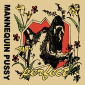 Thumbnail for the Mannequin Pussy - Control link, provided by host site
