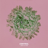 Thumbnail for the Joka - Control link, provided by host site