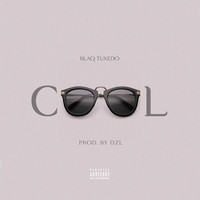 Thumbnail for the Blaq Tuxedo - Cool link, provided by host site