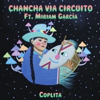 Thumbnail for the Chancha Via Circuito - Coplita link, provided by host site