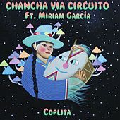 Thumbnail for the Chancha Via Circuito - Coplita link, provided by host site