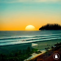 Thumbnail for the 2Shy - Coral Sea link, provided by host site