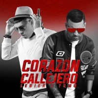 Thumbnail for the Lenier - Corazón Callejero link, provided by host site