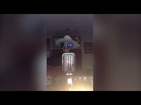Thumbnail for the Lukas Nelson - Corey McCormick - "I Am A Child" Neil Young Cover (Quarantunes Evening Session) link, provided by host site