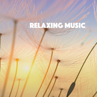 Thumbnail for the Relaxing Music Therapy - Corpse pose link, provided by host site