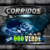 Thumbnail for the Concepto - Corridos De Oro Verde link, provided by host site