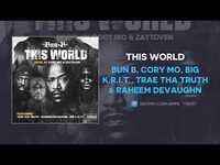 Thumbnail for the Bun B - This World link, provided by host site