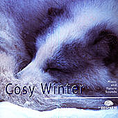 Thumbnail for the Relaxation - Ambient - Cosy Winter link, provided by host site