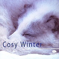 Thumbnail for the Relaxation - Ambient - Cosy Winter link, provided by host site