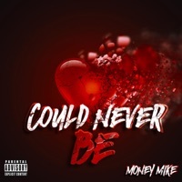 Thumbnail for the Money Mike - Could Never Be link, provided by host site