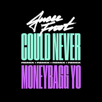 Thumbnail for the Jucee Froot - Could Never (Remix) link, provided by host site