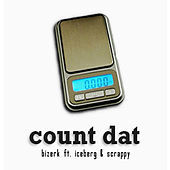 Thumbnail for the Bizerk - Count Dat link, provided by host site